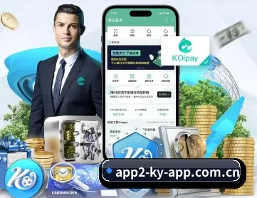 开云app免费版 APP 深度功能