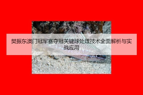 fan-zhen-dong-ao-men-guan-jun-sai-duo-guan-guan-jian-qiu-chu-li-ji-shu-quan-mian-jie-xi-yu-shi-zhan-ying-yong-2-391.jpg