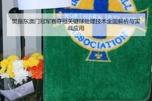 樊振东澳门冠军赛夺冠关键球处理技术全面解析与实战应用