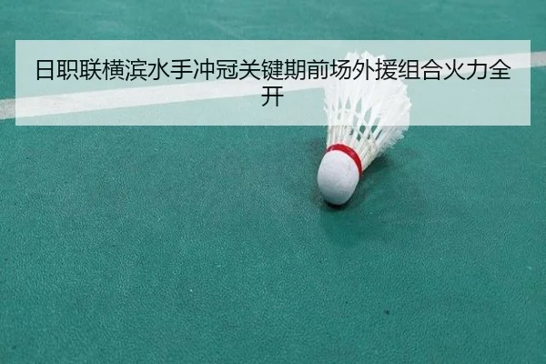 ri-zhi-lian-heng-bin-shui-shou-chong-guan-guan-jian-qi-qian-chang-wai-yuan-zu-he-huo-li-quan-kai-2-355.jpg