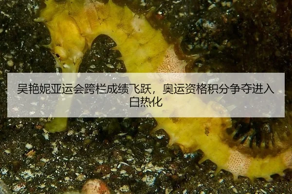 wu-yan-ni-ya-yun-hui-kua-lan-cheng-ji-fei-yue-ao-yun-zi-ge-ji-fen-zheng-duo-jin-ru-bai-re-hua-3-604.jpg