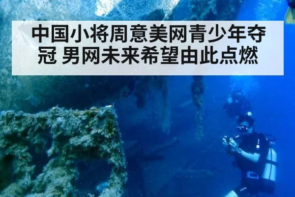 中国小将周意美网青少年夺冠 男网未来希望由此点燃