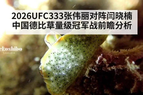 2026UFC333张伟丽对阵闫晓楠中国德比草量级冠军战前瞻分析